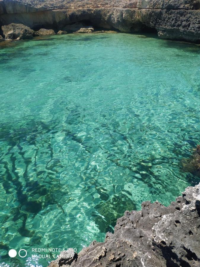 La Terrazza Di Gioia Lägenhet Monopoli Exteriör bild